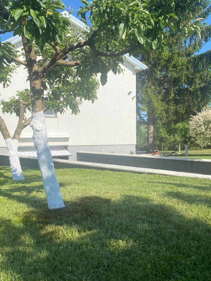 Kuca Za Odmor Milan Apartment Sarengrad